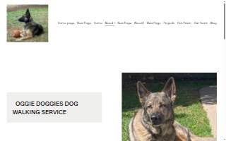 Oggie Doggies Dog Walking Service