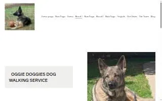 Oggie Doggies Dog Walking Service website