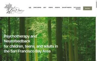 Nes Pinar website