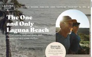 Laguna IT website