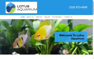 Lotus Aquarium