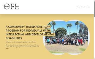 Options For Life Agency