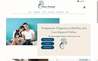 Dancy Perinatal Counseling website