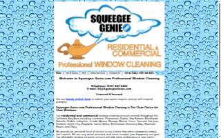 Squeegee Genie Professional Window Cleaning