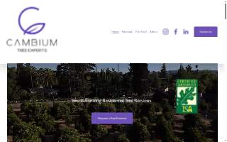 Cambium Tree Experts