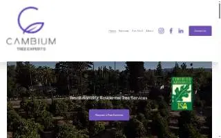 Cambium Tree Experts of Loma Linda website