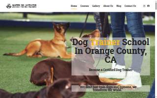 Master Dog Trainer Academy of Loma Linda