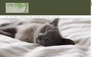 The Willow Cat Hotel