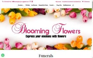 Blooming Flowers LA website