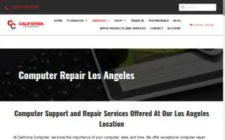 Computer Repair Los Angeles website