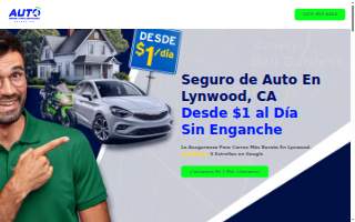 Auto International Insurance