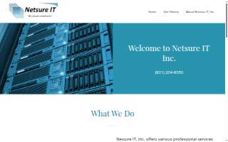 Netsure IT, Inc.