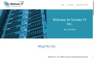 Netsure IT, Inc. website