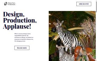 Theme Party Productions
