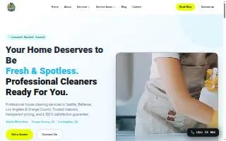 24 25 Cleaners of Mission Viejo website
