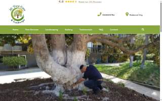 JC Tree Care & Landscape of Mountain View