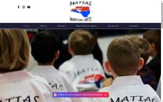 Matias Martial Arts LLC