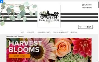Daisy Kart Florist website