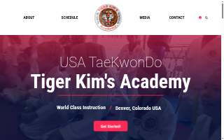 Taekwondo martial arts