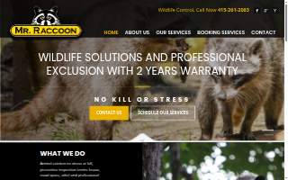 Mr. Raccoon