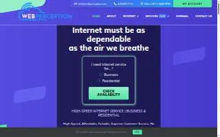 WebPerception LLC. website