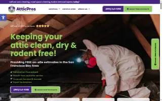 Attic Pros website