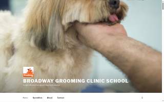 Broadway Grooming Clinic & school website