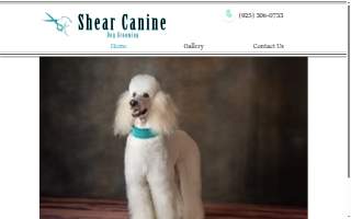 Shear Canine