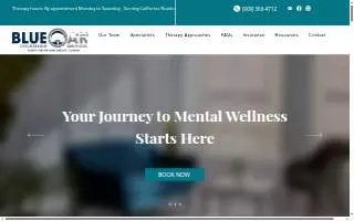 Blue Oak Counseling Services, Inc. website