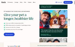 Fetch Dog Spa