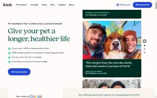Fetch Dog Spa website