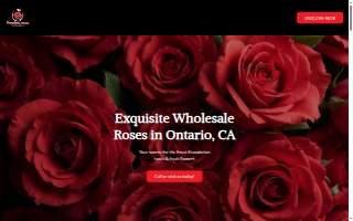 Premium Roses Wholesale