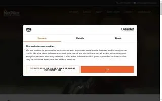 NetPilot Web Solutions website
