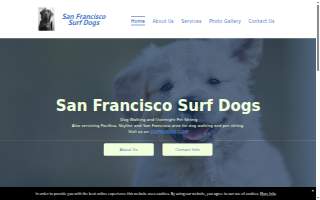 Sfsurfdogs