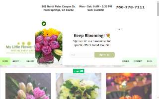 My Little Flower Shop
