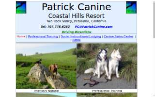 Patrick Canine Training