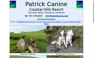Patrick Canine Training website