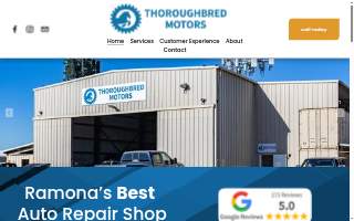 Thoroughbred Motors