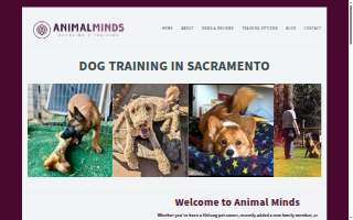 Animal Minds