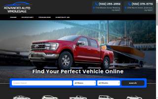 Advanced Auto Wholesale