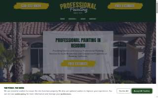 Professional Painting