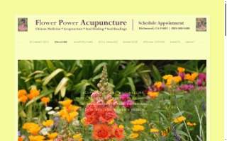 Flower Power Acupuncture website