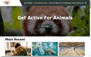 Animal World