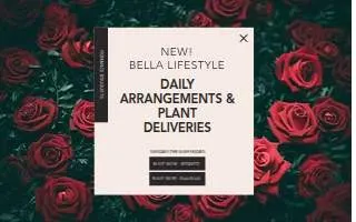 Bella Vita Floral Productions website