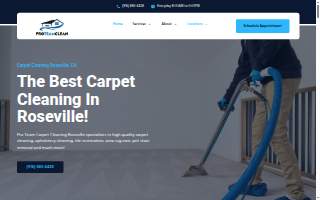 Pro Team Carpet Care of Roseville