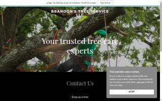 Brandon's Tree Service