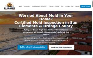 OC Mold Pros