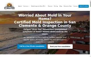 OC Mold Pros website