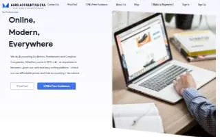 Agro Accounting CPA of San Diego website