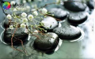 Catalyst Physical Therapy and Wellness website
